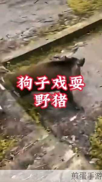狗子的反击免广告版来袭，竖屏休闲新体验等你来享！