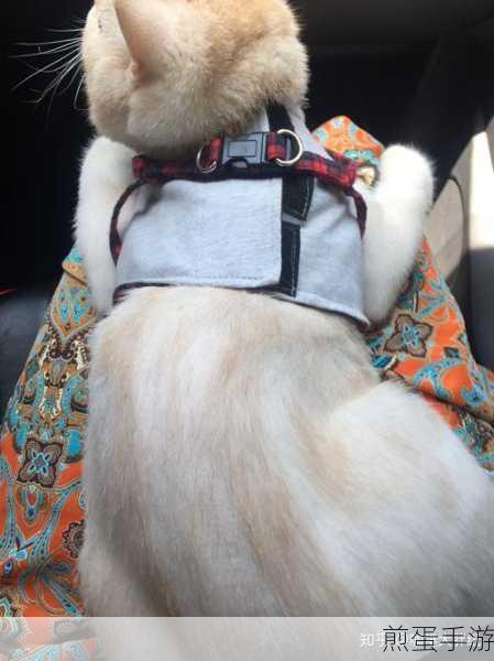 我们家的猫手机版来袭,萌趣卡通逃脱之旅启程