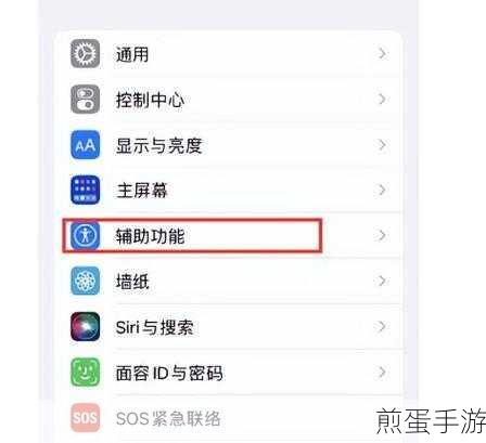 苹果 13 为什么没有来电闪光灯，这一设置背后的秘密与应对策略