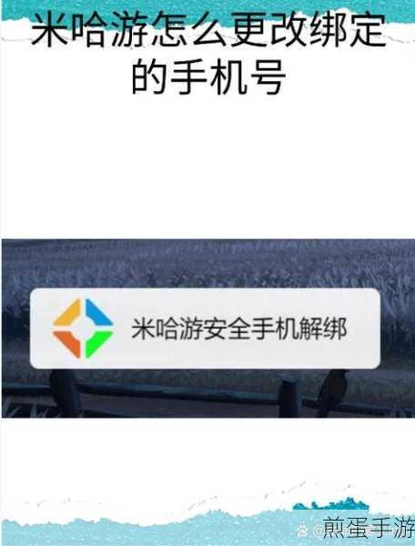 米哈游手机号已绑定其他账号怎么办,破解之法与应对策略