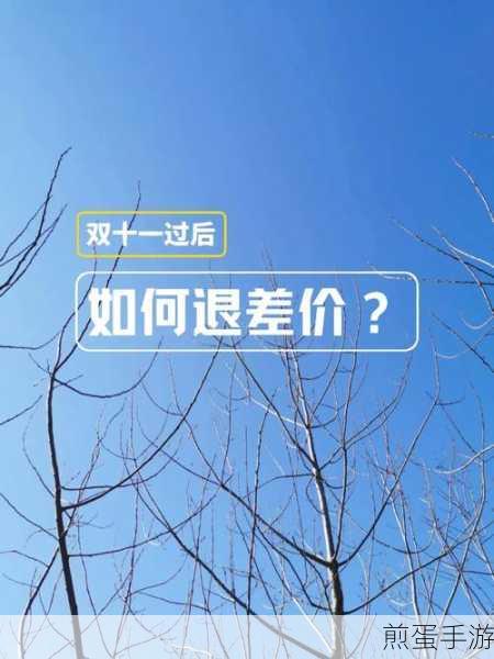 双十一淘宝支持全程价保双十一淘宝买贵一键可退差价,购物狂欢不再怕买贵
