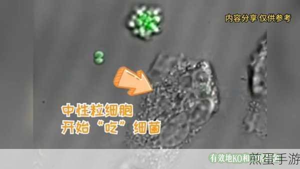 美味的细菌2,吞噬竞技,休闲闯关新体验等你来探索