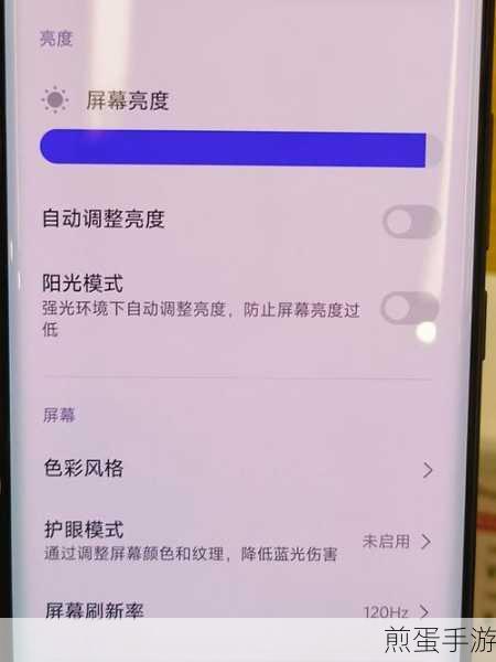 小米 9pro 怎么设置性能优先,掌握这些技巧让手机性能爆表