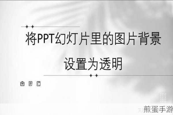 PowerPoint2007 中怎么在 ppt 中加入背景音乐,掌握这招,让你的 PPT 大放异彩