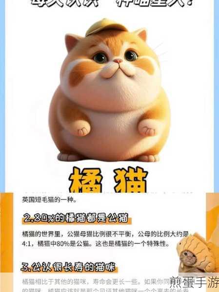 橘猫萌翻天!不能再吃了橘猫休闲手游趣味来袭