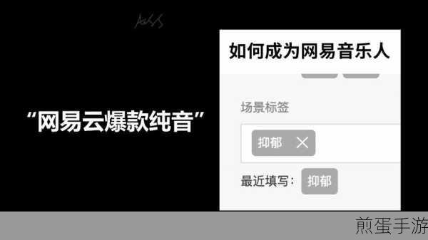 网易云音乐评论视频怎么制作,网易云音乐评论视频制作教程,成为爆款视频创作者的秘诀