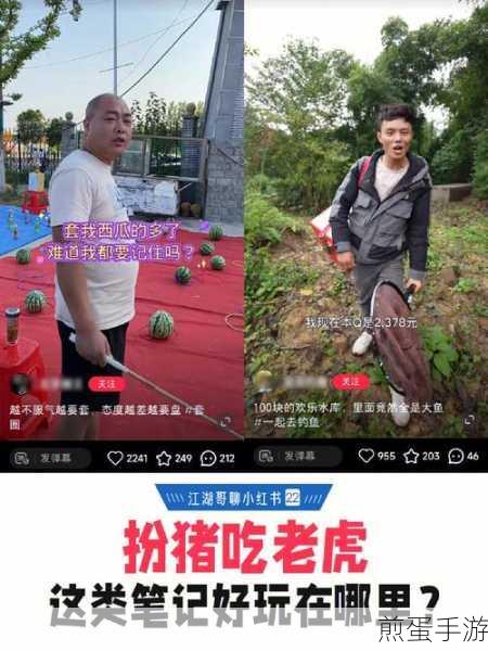 一只特立独行的猪，恶搞趣味，下载开启欢乐之旅