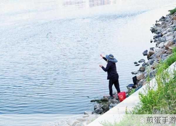 钓鱼人生2020,一场心灵之旅的清新启程