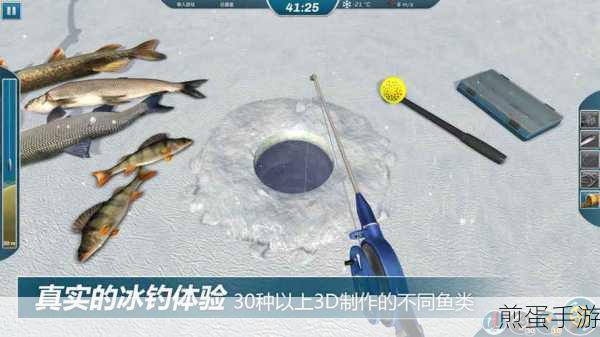 冰钓大师破解版中文版，垂钓乐趣，一网打尽！