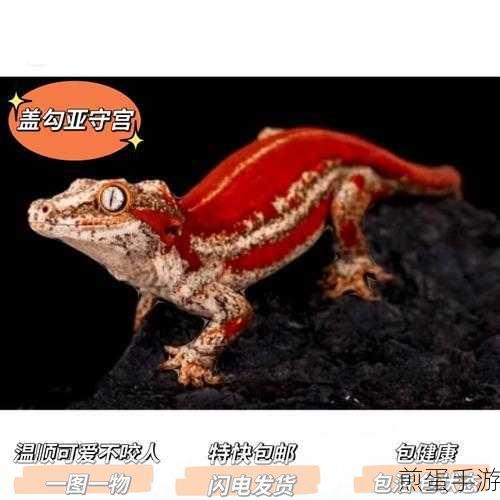 魔物饲养员中文版来袭,萌宠养成,休闲新选择!