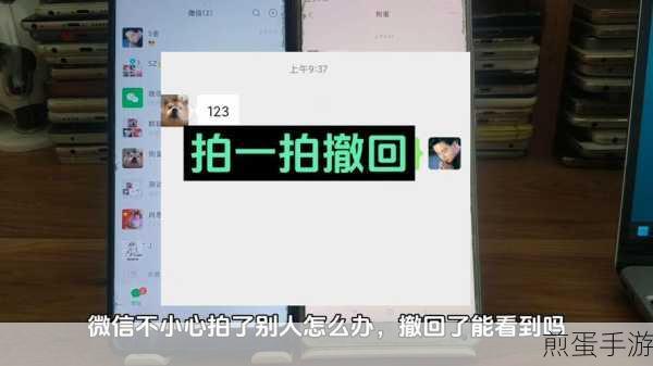 微信拍一拍可以撤回吗-拍一拍撤回操作方法分享,掌握这一神技,让社交不再尴尬
