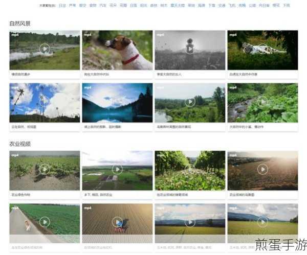 QQ 浏览器屏蔽广告的图文操作教程,掌握此技能,畅享纯净网络世界