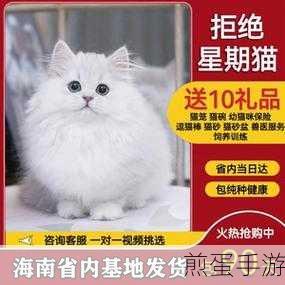 拼多多怎么养动物介绍,掌握技巧,轻松养成可爱萌宠