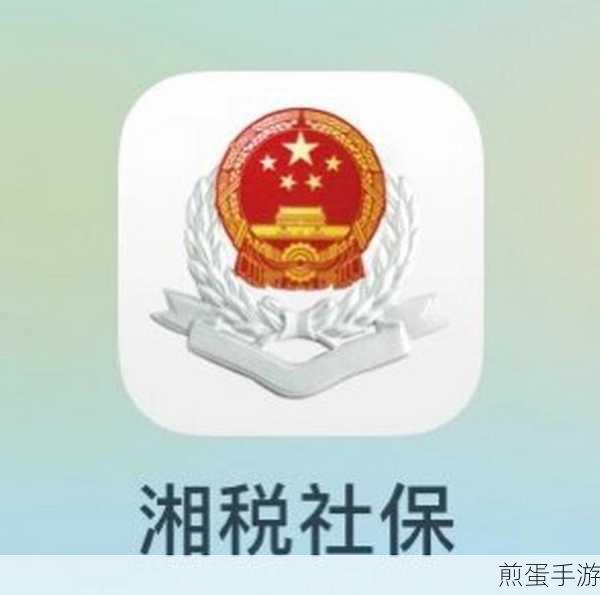 在应用商店下载付湘税社保是真的吗,为何引发热议