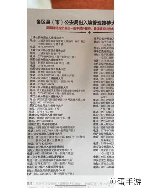 支付宝怎么申请芝麻签证报告,成为签证达人的必备秘籍
