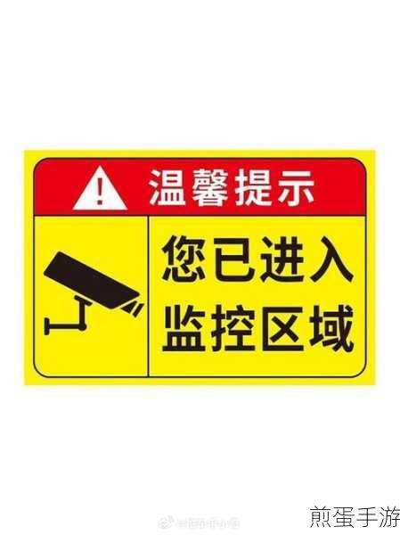 电信营业厅怎么启用隐私哨兵功能-隐私哨兵功能开启方法，成为隐私保护达人的必备指南