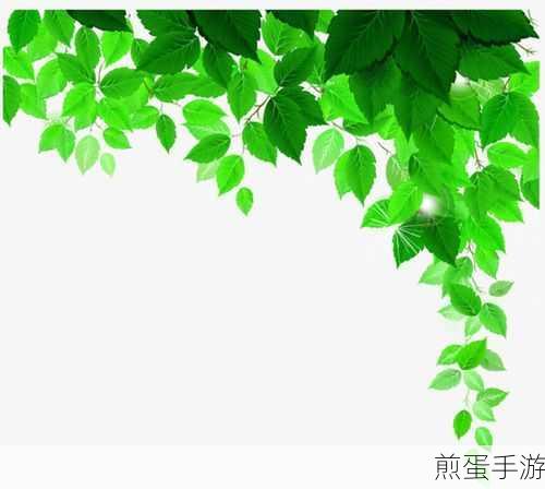 QQ 看点绿色模式怎么关:成为网络热点引关注