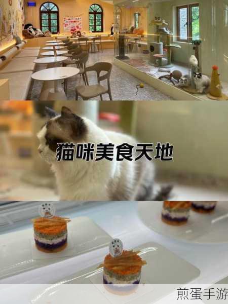 布偶动物的餐厅，萌系治愈，打造你的梦幻美食天地