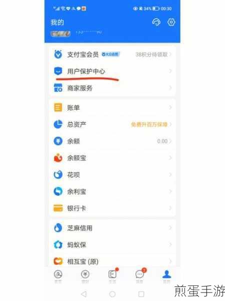 如何查看支付宝使用年龄,成为支付达人的必备秘籍