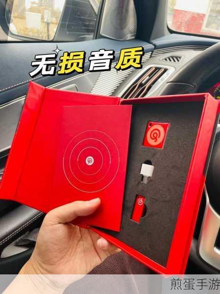 网易云音乐怎么下载到u盘里，成为音乐达人的必备技能