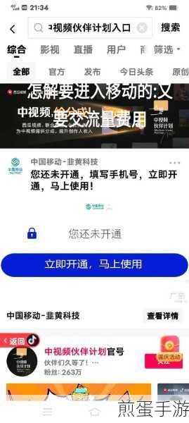 如何在西瓜视频中查看个人收入明细,掌握财富密码,开启赚钱新征程