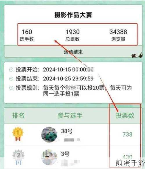 哪家投票软件好用,成为网络热门话题