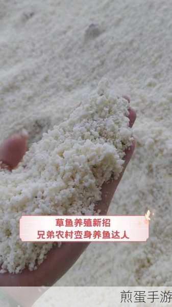 观赏鱼类的刚出生不久的小鱼苗要吃什么，成为养鱼达人的必备秘籍