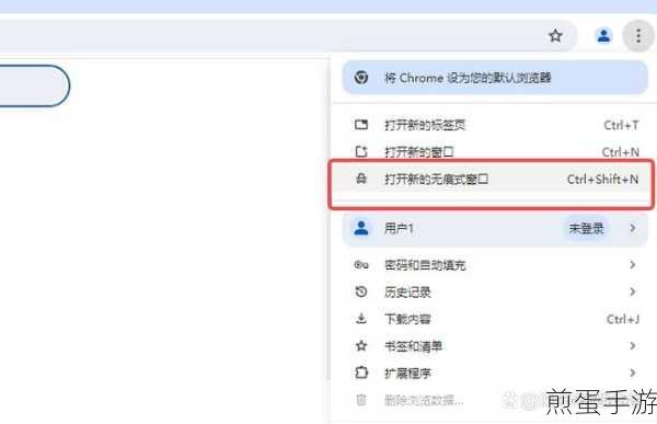 谷歌浏览器如何保存密码,成为网络安全高手的必备技巧