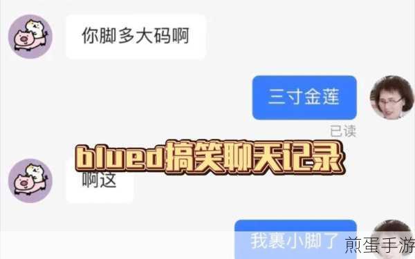 Blued聊天记录突然没有了，背后的秘密与应对策略