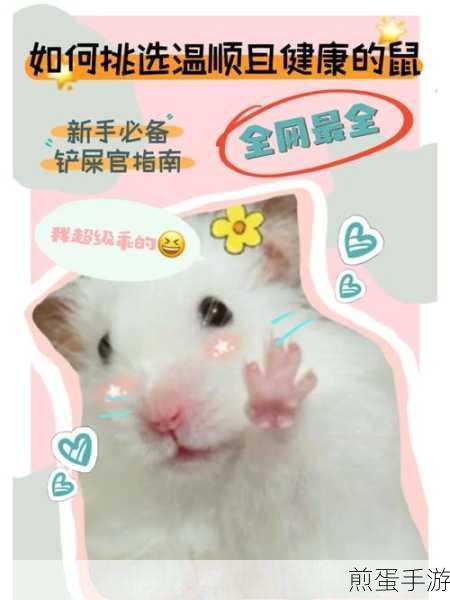 领养宠物的软件有哪些,成为铲屎官的必备指南