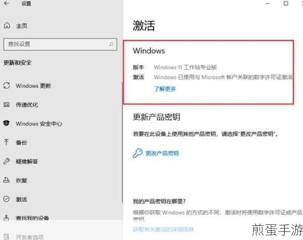 Win11 如何判断系统是否激活 win11 系统激活步骤介绍,掌握激活秘籍,畅玩 Win11 无阻碍