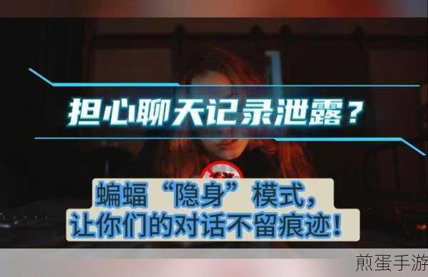 蝙蝠聊天聊天记录能保存多久,引发热议的神秘话题