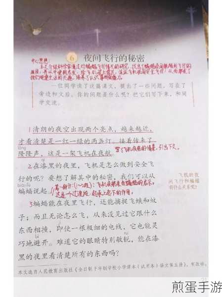 在漆黑的夜里飞机是怎么做到安全飞行的呢要想了解其中的秘密我们可以从蝙蝠,探索夜间飞行的奥秘