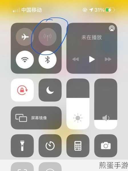 苹果手机上面的时间信号不见了,引发网友热议