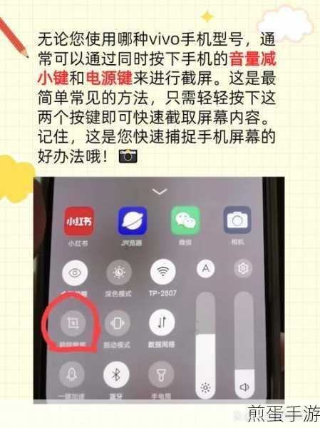 vivo 旧手机应用怎么转移到新手机,热门技巧大揭秘