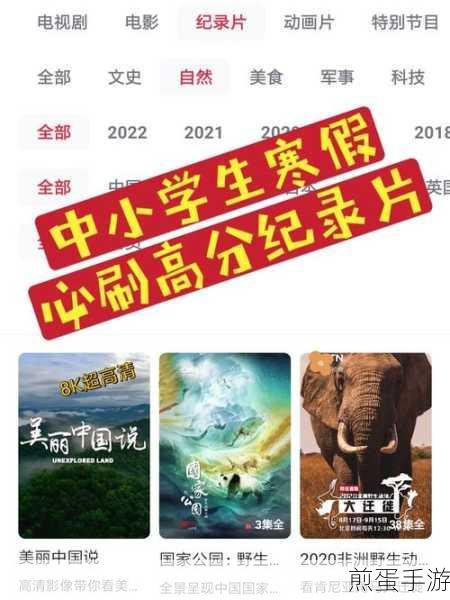 央视频如何查看卫视回放,掌握这招轻松搞定,热门攻略