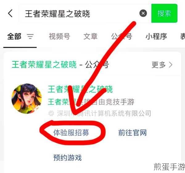 王者荣耀体验服申请全攻略,官网入口揭秘