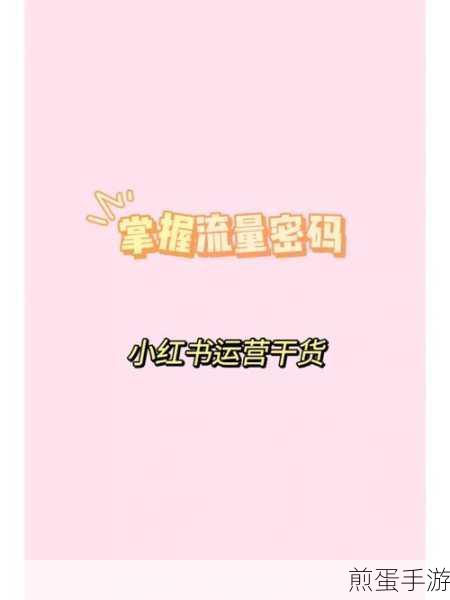 小红书如何开启免流量，掌握这些技巧让你流量无忧