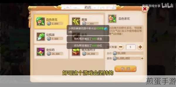 梦幻西游手游时空区,解锁全新游戏体验的钥匙