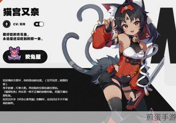 绝区零猫宫又奈,高效配队策略揭秘