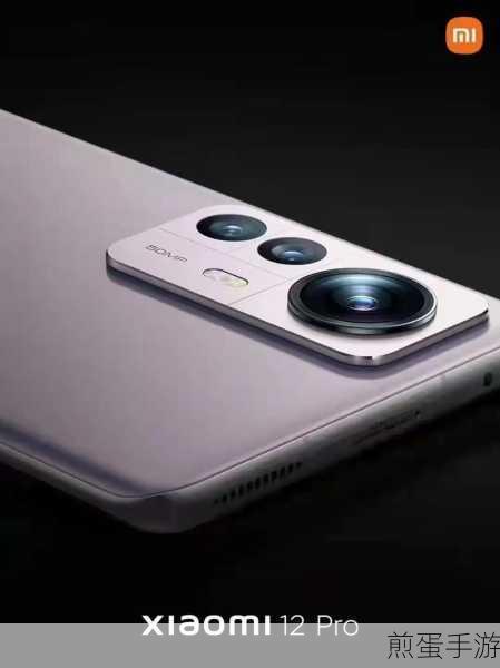 vivo12 和小米 12 选哪个，谁才是你的最佳拍档