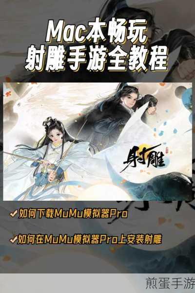 射雕手游隐藏技能全揭秘，解锁你的武侠新境界