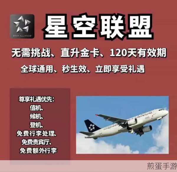 抖音金卡会员怎么获得,成为热门焦点