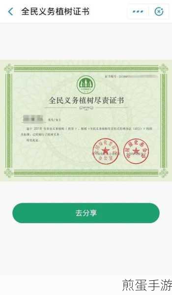 蚂蚁森林证书邮寄吗,探索环保新潮流