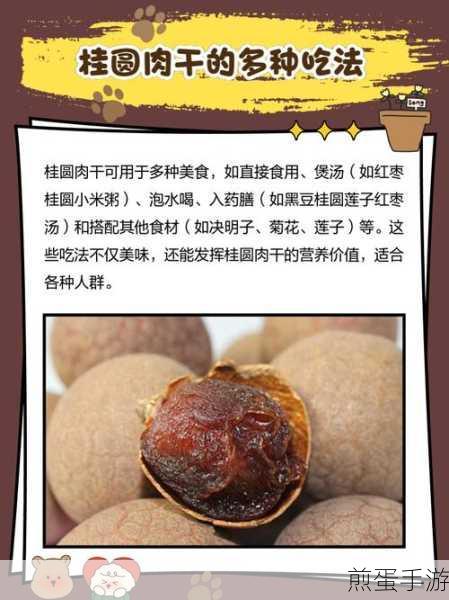 桂圆肉怎么吃最好简单食谱,美食秘籍大公开
