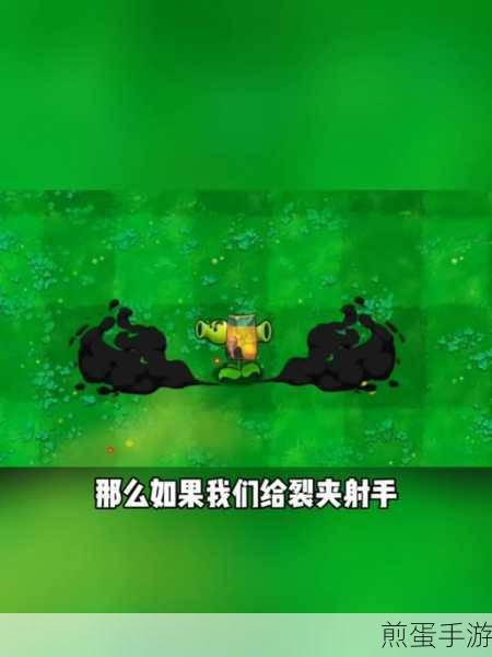 植物大战僵尸融合版新植物裂荚射手深度解析