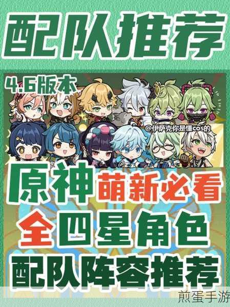 原神国家队揭秘，四星强队搭配与玩法详解