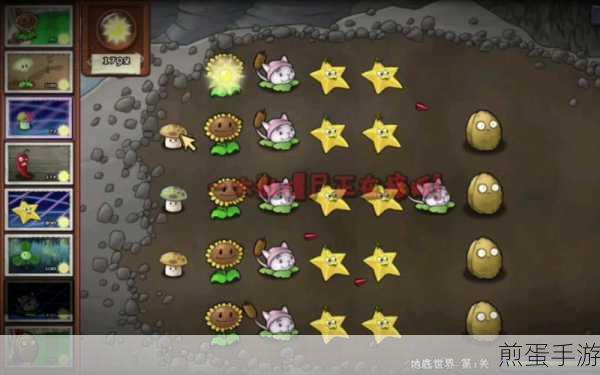 植物大战僵尸冒险时光版,全面解析升级攻略
