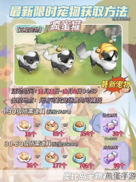 奥比岛探险指南,疯蜜獾宠物捕捉全攻略