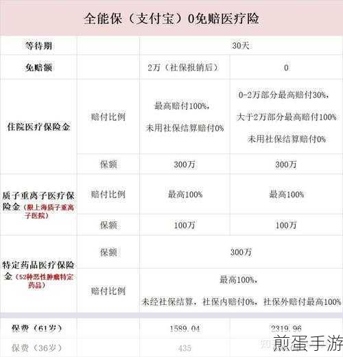 支付宝免费医疗金报销范围是什么,探究其背后的秘密与福利
